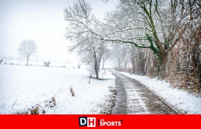 Weather: up to 20 centimeters of snow in Haute Ardenne until Saturday, before a temporary mild spell, “but it’s only temporary, the snow will return”