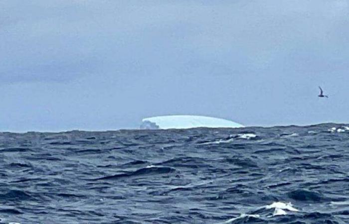 Iceberg in sight: “It’s scary, we’re not being smart”