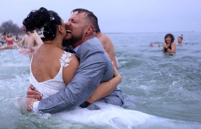 This was the scene at this year’s L Street Brownies polar plunge