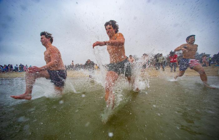 This was the scene at this year’s L Street Brownies polar plunge