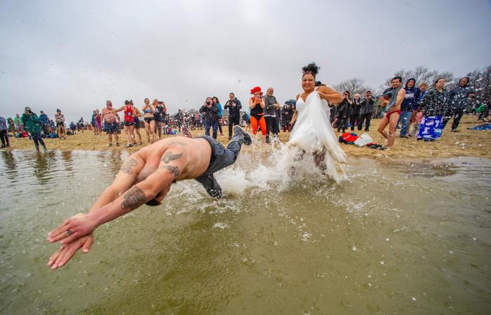 This was the scene at this year’s L Street Brownies polar plunge