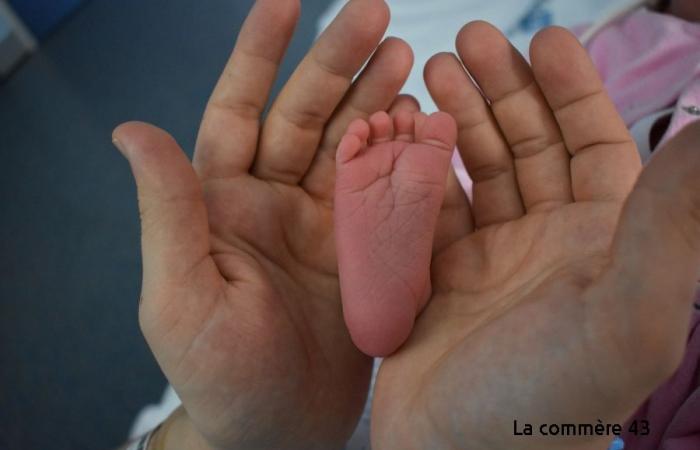 Puy-en-Velay maternity ward: births are on the rise again, Louis and Adèle, the most given first names in 2024