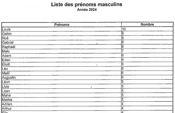 Puy-en-Velay maternity ward: births are on the rise again, Louis and Adèle, the most given first names in 2024