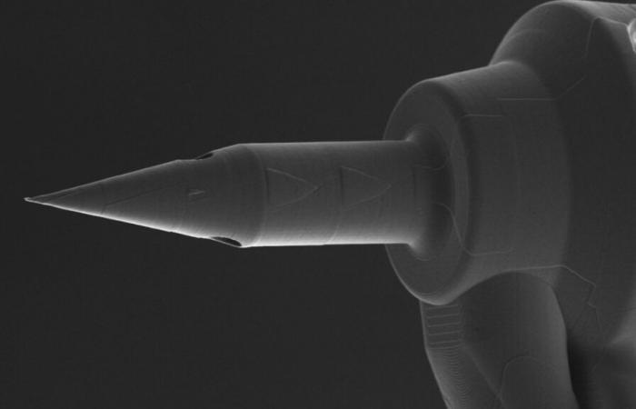 This 3D-printed microneedle could revolutionize the treatment of deafness