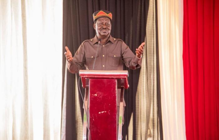 Pan-Africanism: what could Odinga bring to the AUC? | APAnews