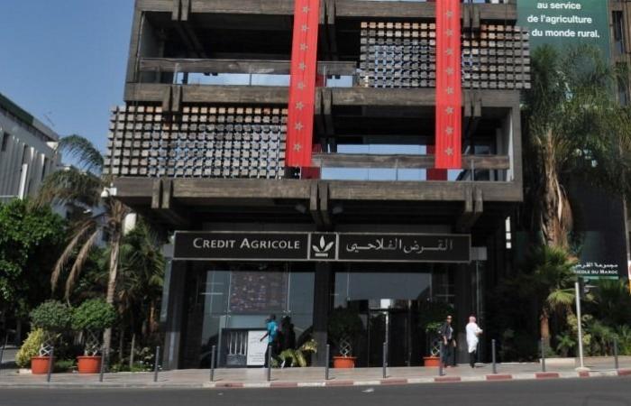 CAM concludes the year 2024 with a bond issue of 1 billion dirhams