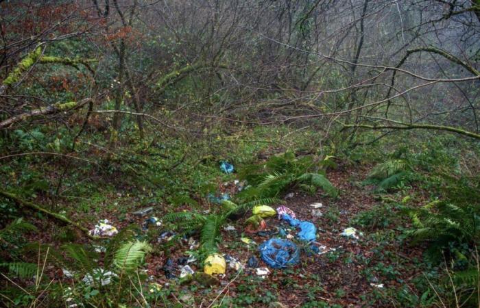 why cleaning up a wild dump will have to wait