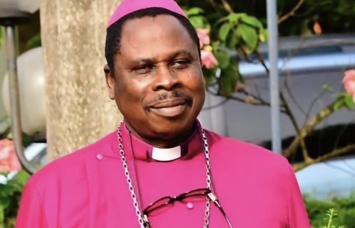 Former Archbishop and His Driver Freed in Nigeria