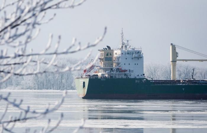 Ship stranded near Verchères | Unloading is expected to begin on Thursday