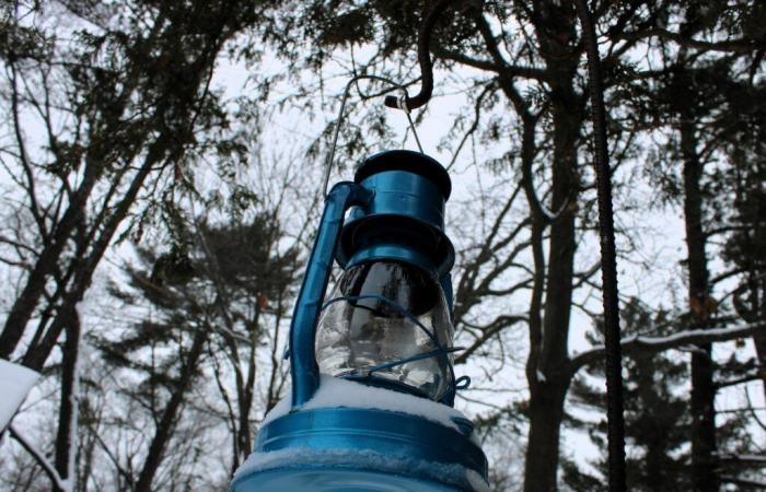 Lantern-lit winter hikes kick off this weekend at Ludington State Park