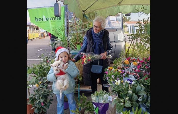 after selling her flowers for 48 years in the markets, she retires