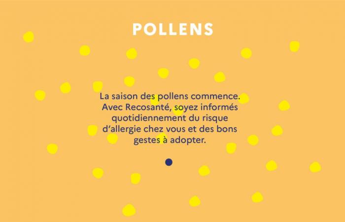 Pollens: the right reflexes to have to protect yourself from allergies