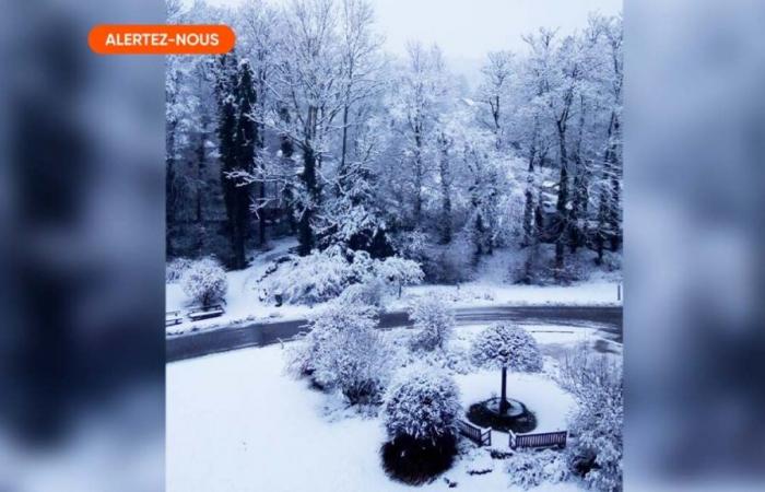 Snow covered part of Belgium: up to 8 centimeters fell in places, a few flakes are still expected