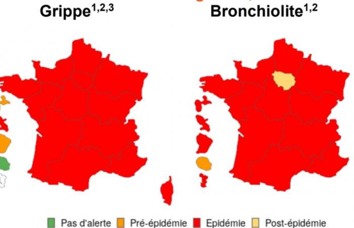 Flu, Covid-19, bronchiolitis… Update on epidemics in France at the start of 2025