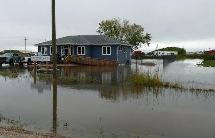 Winnipeg Humane Society on the brink of crisis due to limited capacity