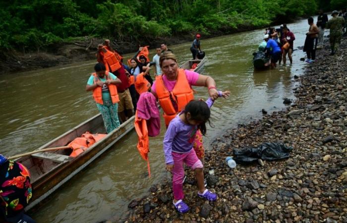 Number of migrants crossing the Panamanian jungle to the US fell 41% in 2024