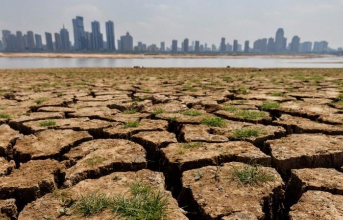 Weather agency says China experienced hottest year on record in 2024 | Climate News