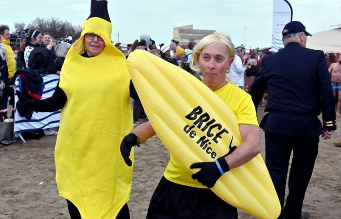 New Year: more than 700 came to swim in Gruissan to start the year 2025