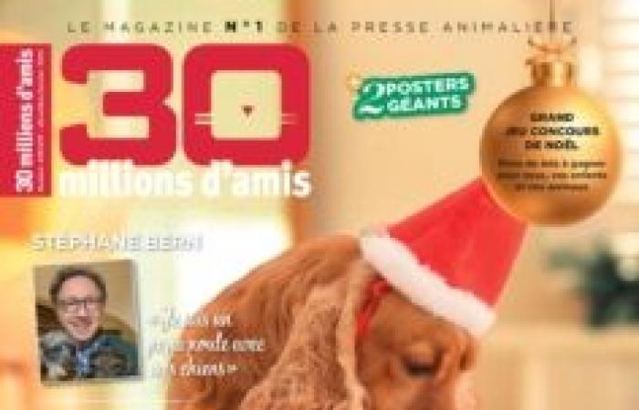 Brigitte Bardot denounces a “massacre” of chamois in the Doubs