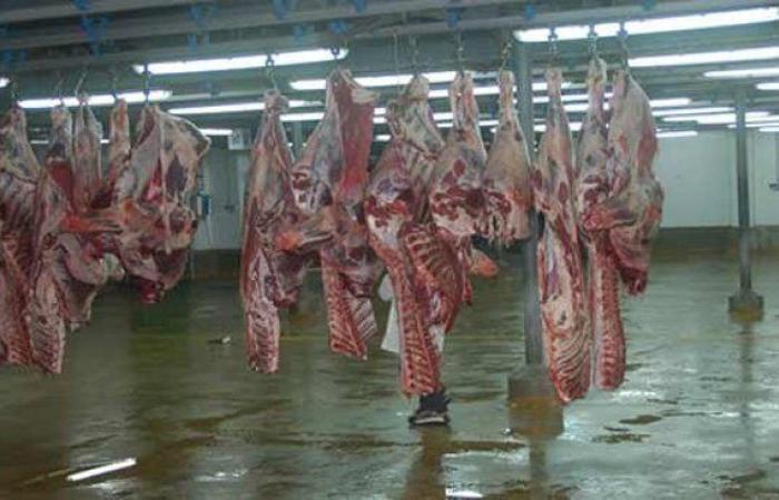 Wholesale prices in Casablanca: further slight drop in red meat prices