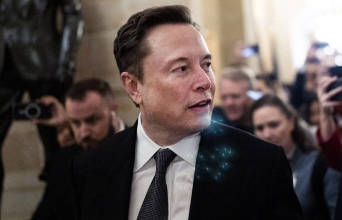 Elon Musk calls for release of British identity activist