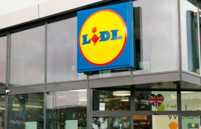 LIDL launches the best innovation of the year to lower your electricity bill