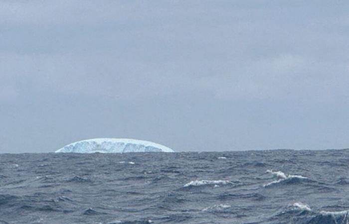 for the first time since 2008, Vendée Globe 2024 skippers saw an iceberg