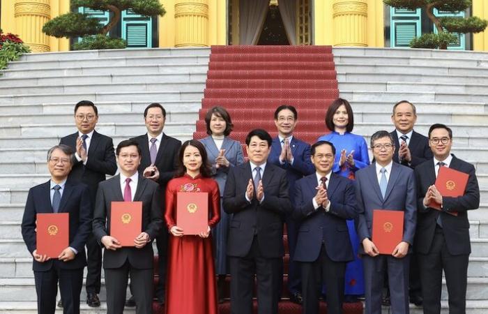 New Vietnamese ambassadors officially in office