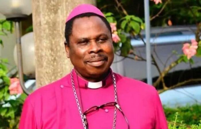 Abducted’ Anambra bishop, driver return