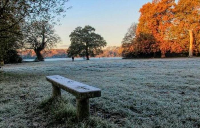 Cold health warning as Southampton temperatures to plummet