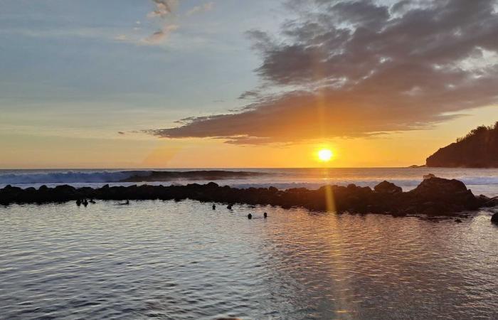 swimming prohibited in Manapany basin after report of a sea snake