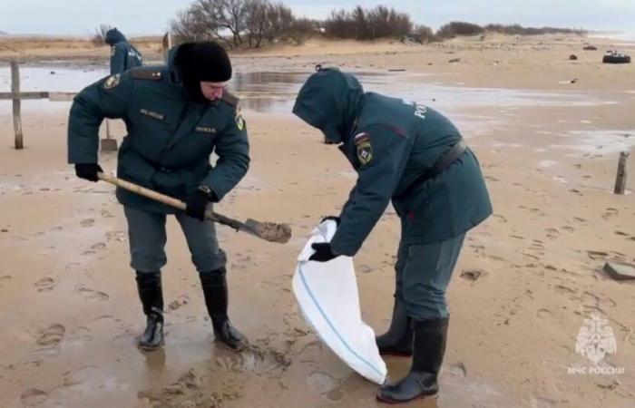 The oil spill in Russia and Crimea continues to spread: News