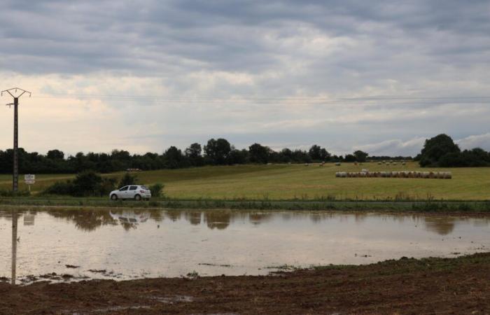 2024 weather report in Vienne: + 15% rain,