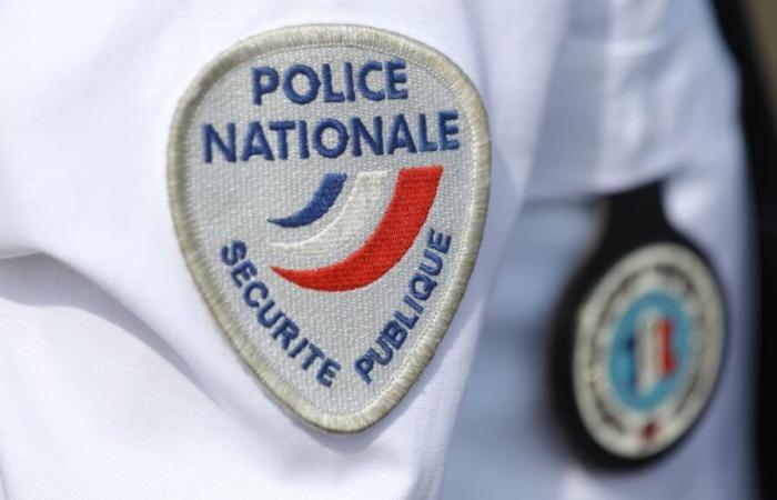 Corpse of an infant found in a garbage bag in the Loire: an investigation opened for “murder”