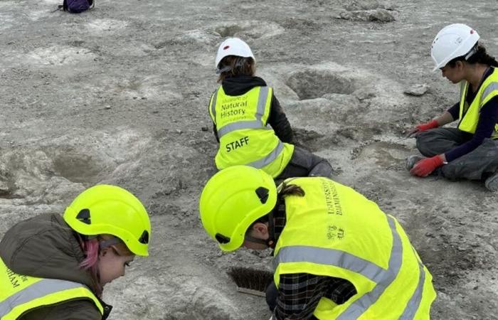 Nearly 200 dinosaur footprints discovered in UK quarry