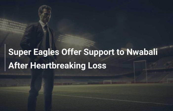 Super Eagles back Nwabali after heartbreaking loss