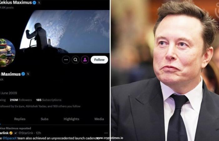 Musk’s Name Change Turns $66 into $3 Million for Trader