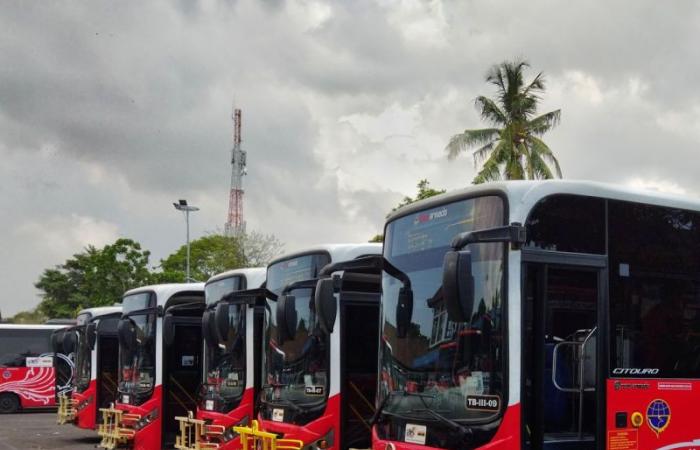 Bali’s Biggest Public Bus Service Ceases Operation Leaving Locals And Tourists Frustrated