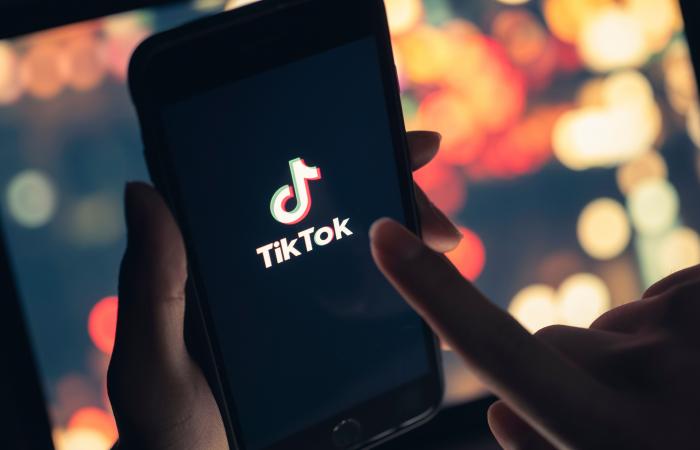 Quality and precision of TikTok videos on hysteroscopy: an alarming finding