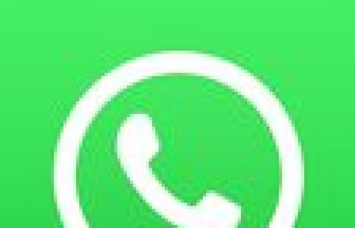 WhatsApp collaborates with Google so you can find out the origin of any image sent to you