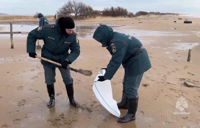 Oil spill in Russia and Crimea extends to Sevastopol