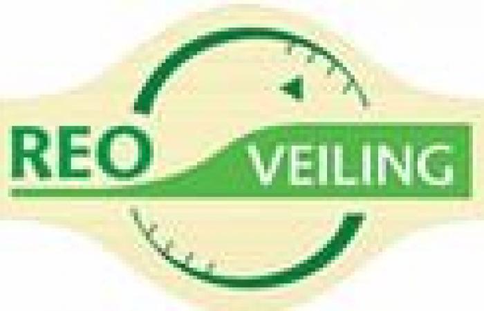 Record sales in 2024 for REO Veiling (Belgium) despite lower volumes