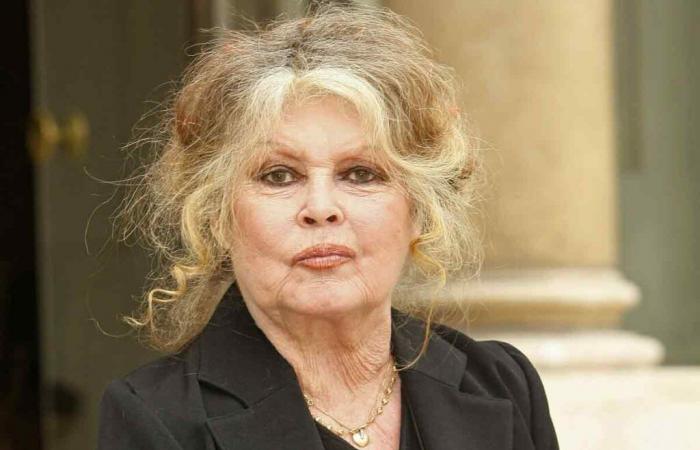 Regulation of the chamois in the Doubs: Brigitte Bardot again attacks hunters