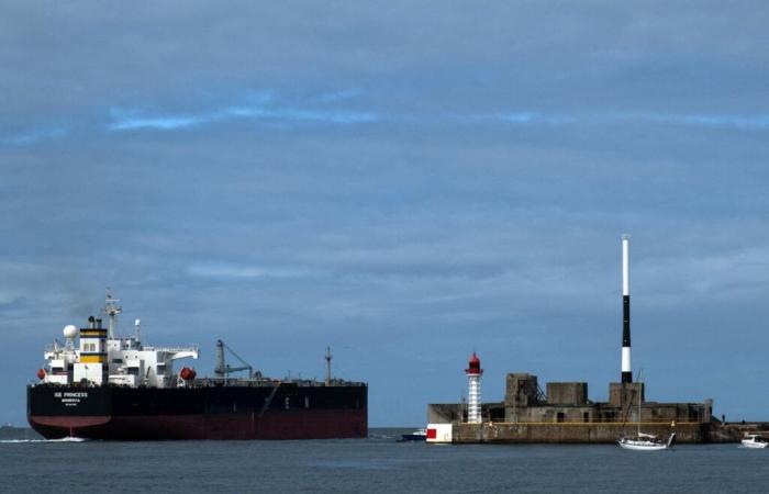 France: More than two tons of cocaine seized at the port of Le Havre