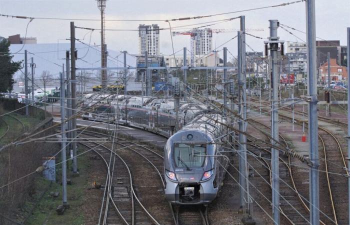 Luggage abandoned on a train at Cherbourg station, traffic gradually resumes