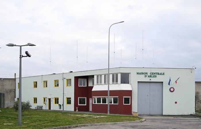 the detainee from Guyana surrendered, the staff released