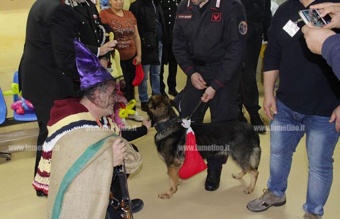 Lamezia, the Carabinieri's 'Epiphany of Biodiversity 2025' returns for small pediatric patients at the hospital