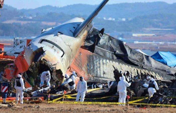 Investigators begin removing Jeju Air Boeing wreckage