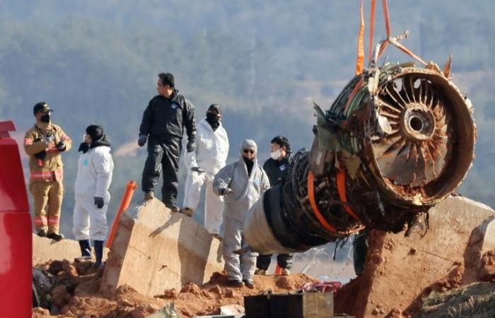 South Korea: Investigators begin removing wreckage of Jeju Air Boeing