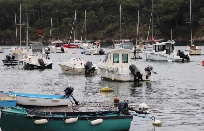 The body of a man recovered from a port in Finistère. Sport